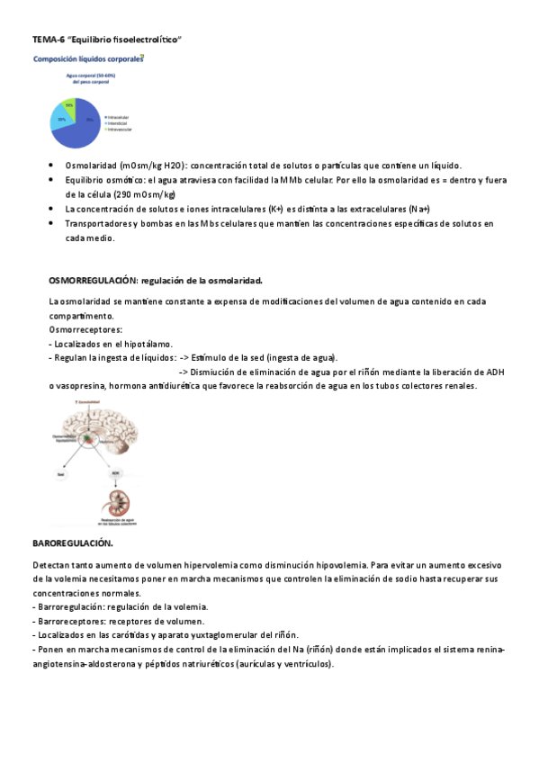 Miniatura del documento TEMA-7-patologia.pdf