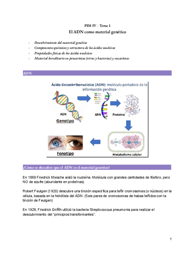 Miniatura del documento PIM-IV-Tema-1.pdf
