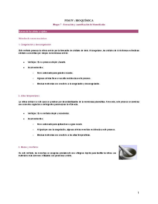 Miniatura del documento Bloque-7-PIM-IV.pdf