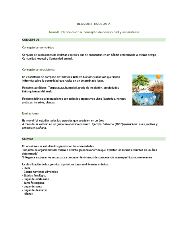 Miniatura del documento PIM-III.-Bloque-3.-Tema-8.pdf