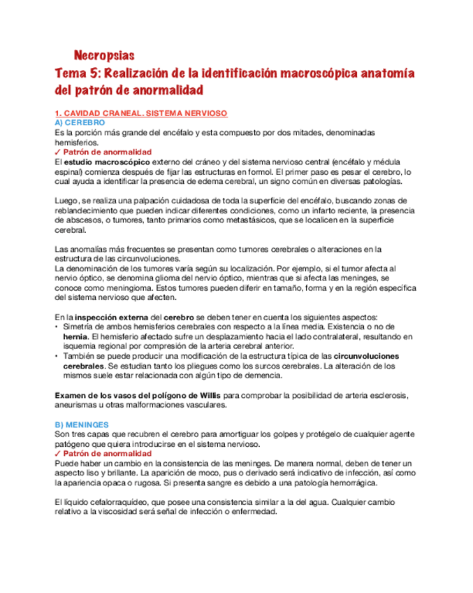 Miniatura del documento Necropsias-5.pdf