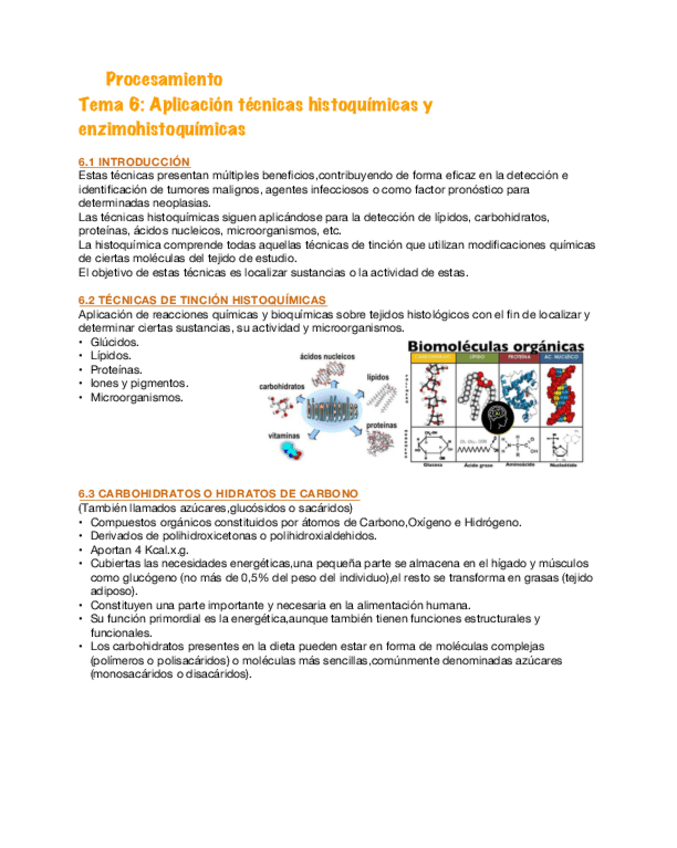 Miniatura del documento Procesamiento-6.pdf