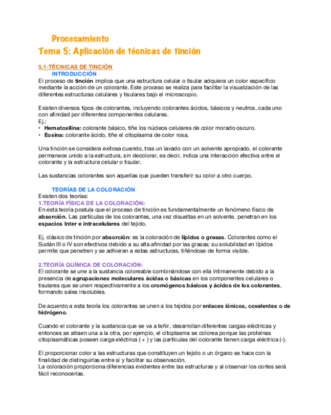 Miniatura del documento Procesamiento-5.pdf