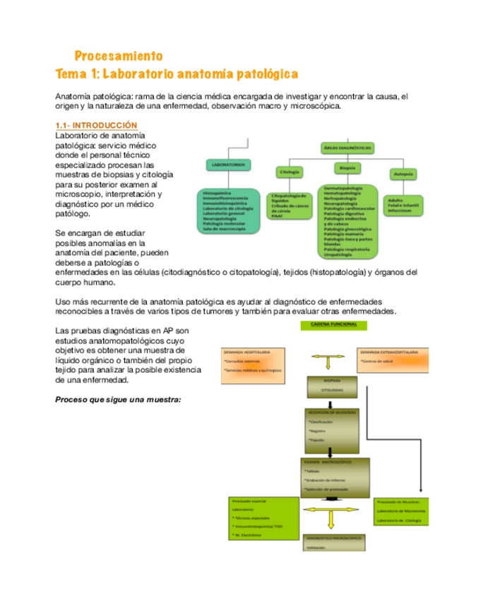 Miniatura del documento Procesamiento-1.pdf