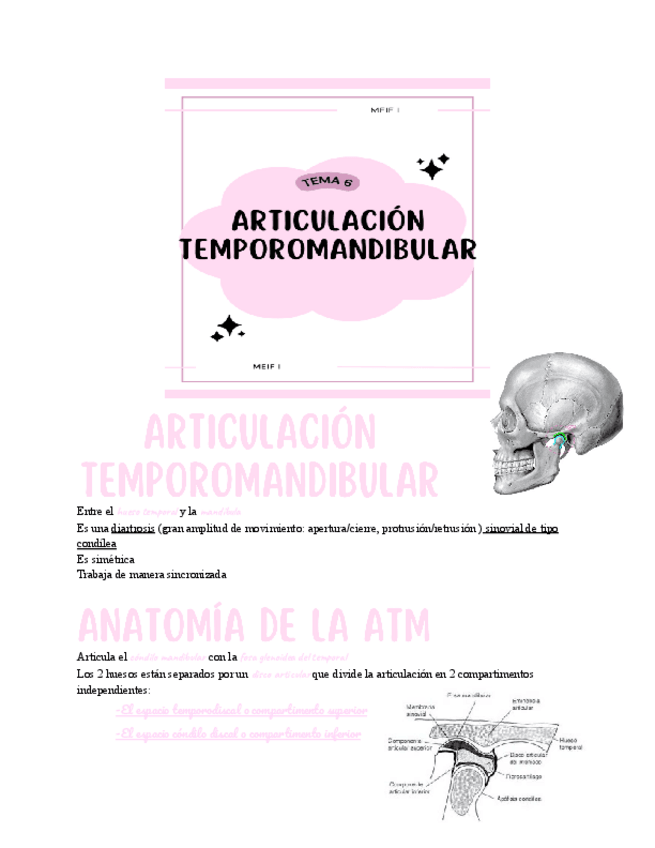 Miniatura del documento TEMA-6-ARTICULACION-TEMPOROMANDIBULAR.pdf