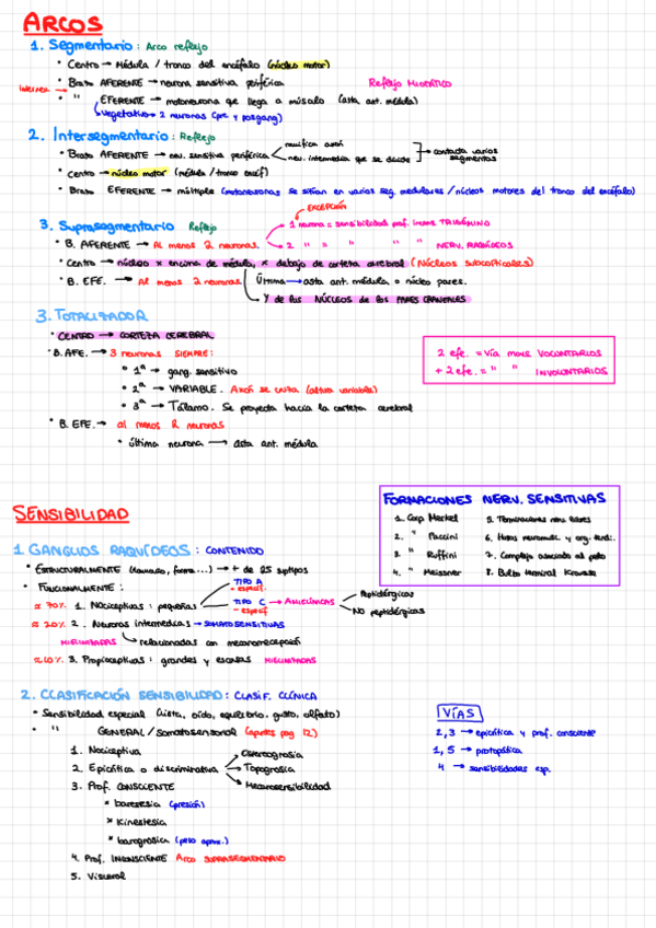 Miniatura del documento ESQUEMAS/RESUMENES-VIAS-AnatoNervioso.pdf.pdf