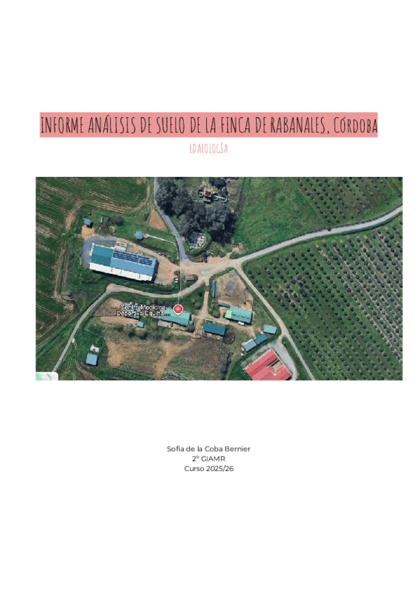 Miniatura del documento Informe-Edafologia-Rabanales-Sofia.pdf
