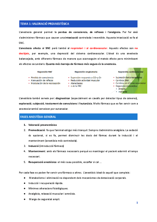 Miniatura del documento Apunts-anestesia-1.pdf