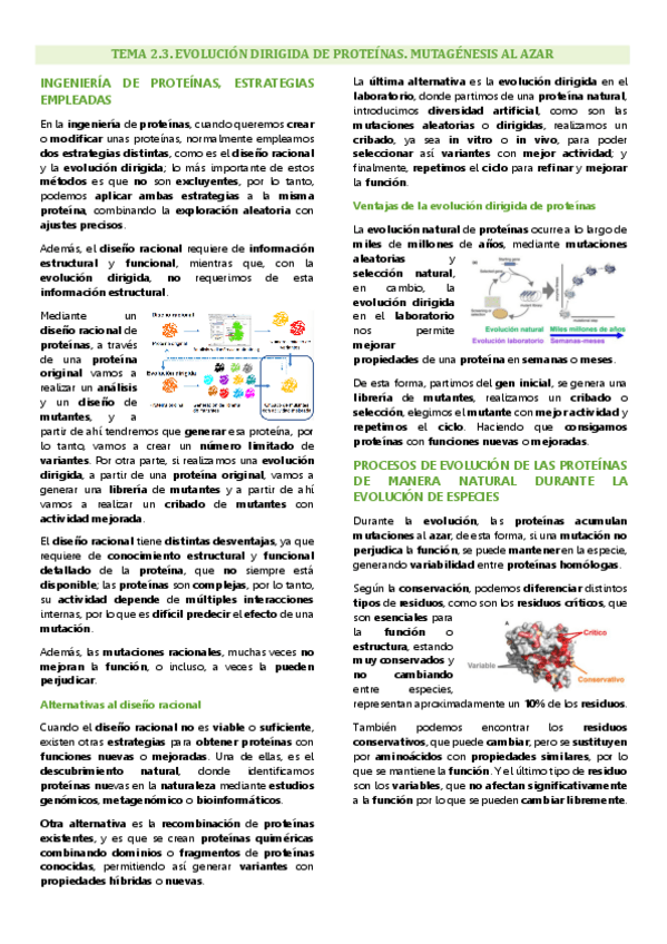 Miniatura del documento Tema 2.3 Ingeniería de proteínas, Evolución dirigida de proteínas, Mutagénesis al azar.pdf