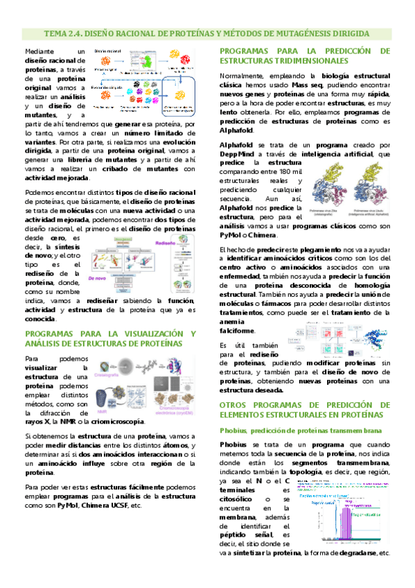 Miniatura del documento Tema 2.4 Ingeniería de proteínas, Diseño racional de proteínas y métodos de mutagénesis dirigida.pdf