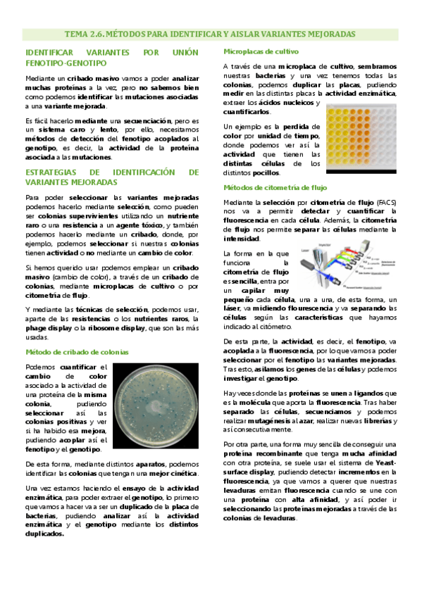 Miniatura del documento Tema 2.6 Ingeniería de proteínas, Métodos para identificar y aislar variantes mejoradas.pdf