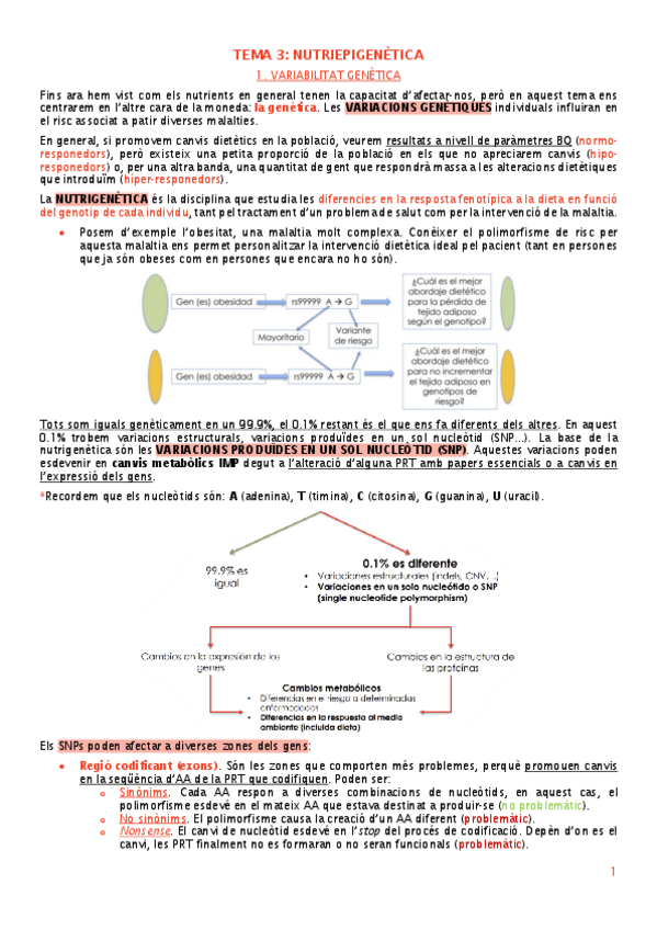 Miniatura del documento tema-3-nutriepigenetica.pdf