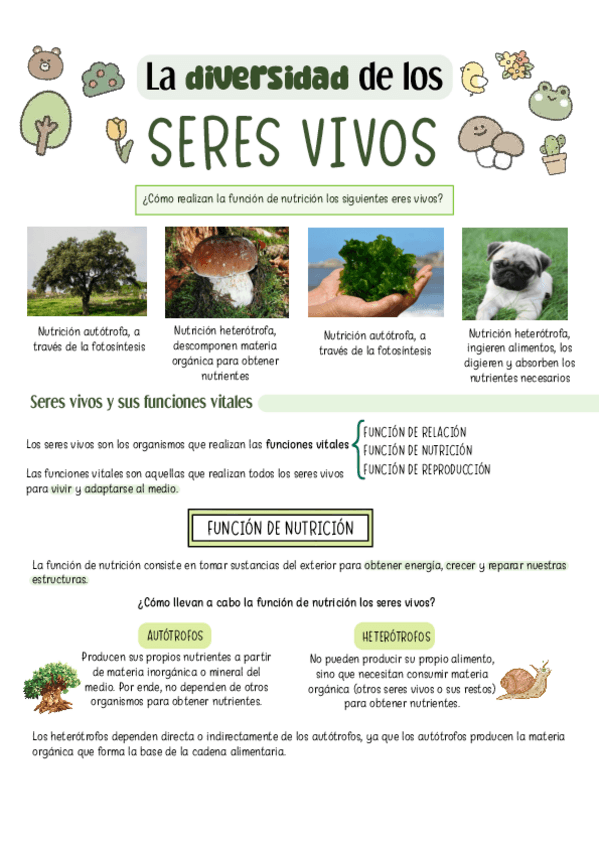 Miniatura del documento Diversidad-de-los-Seres-Vivos.pdf