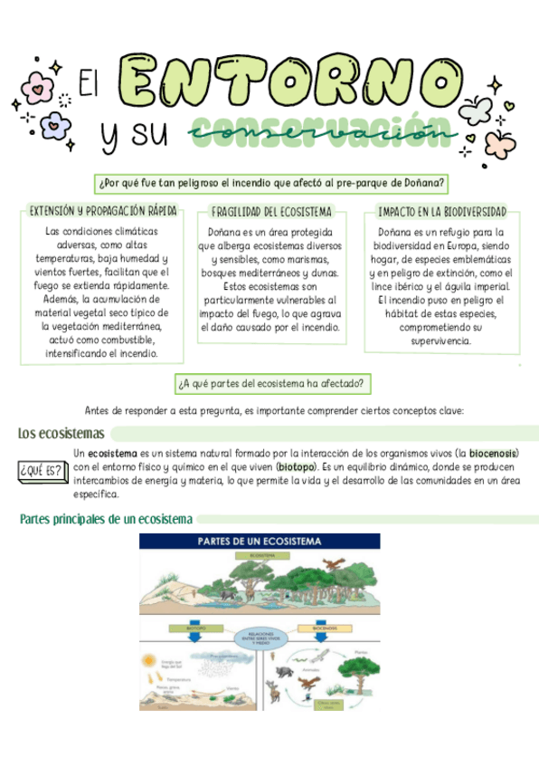 Miniatura del documento Ecosistemas.pdf