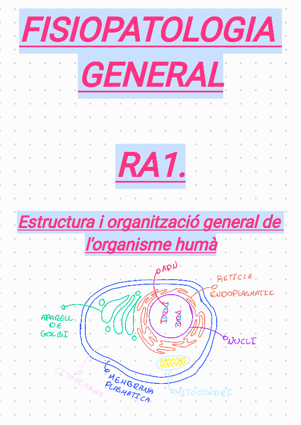 Miniatura del documento Estructura-i-organitzacio-de-lorganisme-huma251103193726.pdf