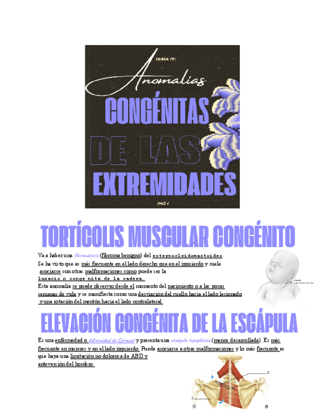 Miniatura del documento Untitled-document-3.pdf