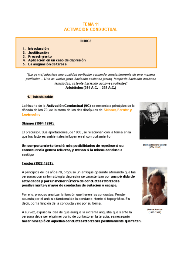 Miniatura del documento TEMA-11-CONSEJO.pdf