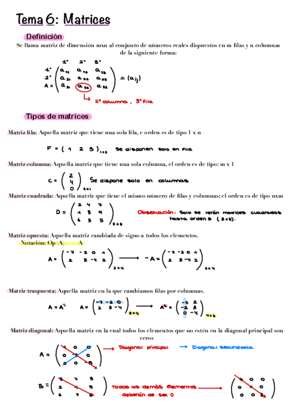 Miniatura del documento Matrices-apuntes.pdf