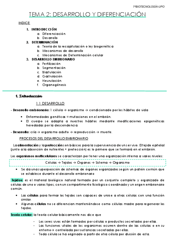 Miniatura del documento Tema-2-Desarrollo-y-diferenciacion.pdf