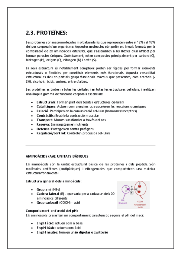 Miniatura del documento PROTEINES.pdf