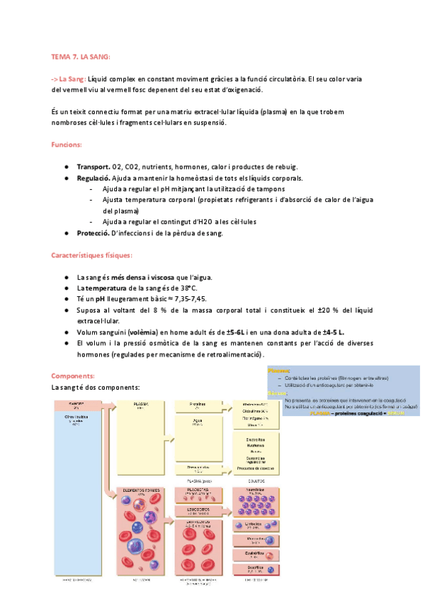 Miniatura del documento Tema-7.-La-SangBertaVergesG12.pdf