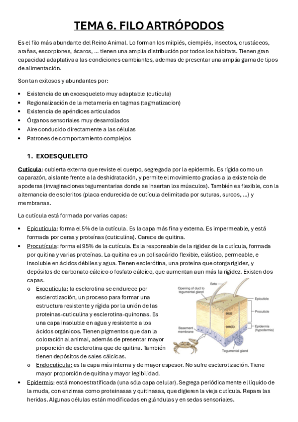 Miniatura del documento Tema-6.pdf