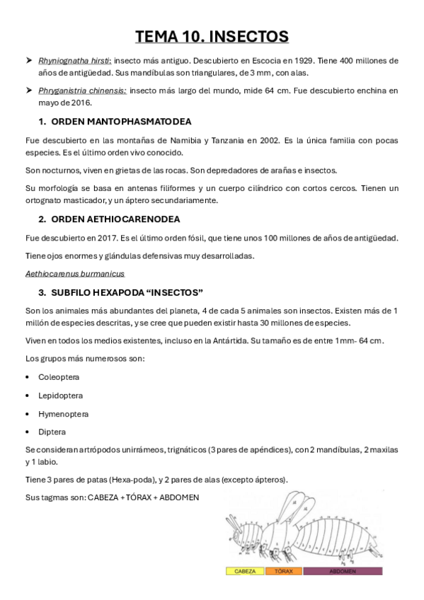 Miniatura del documento Tema-10.pdf