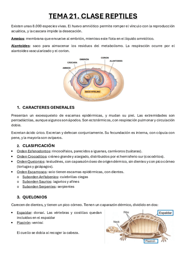 Miniatura del documento Tema-21.pdf