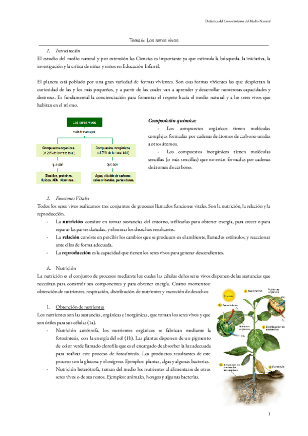 Miniatura del documento Tema-6-Los-seres-vivos.pdf
