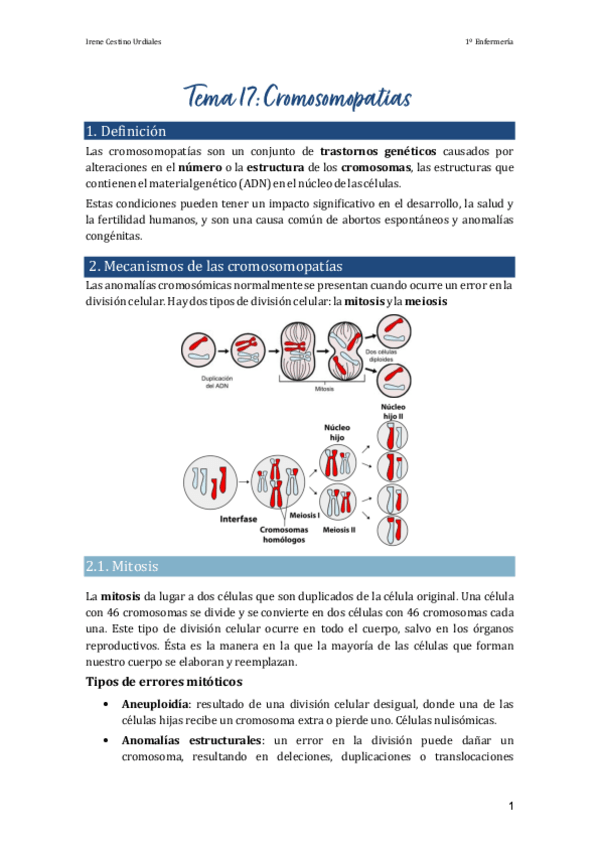 Miniatura del documento Tema-17.pdf