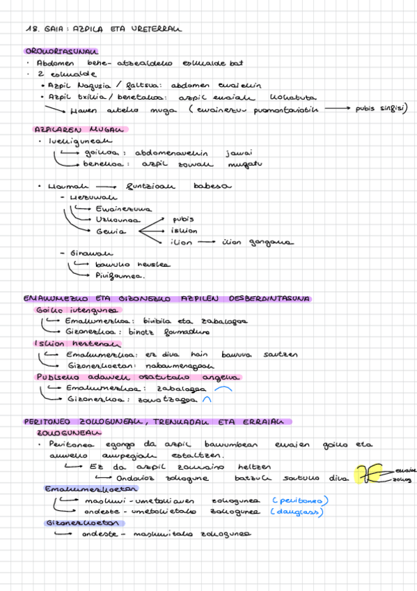 Miniatura del documento 18.-Gaia.pdf