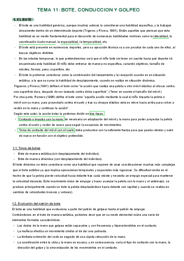 Miniatura del documento T11-BDM.pdf