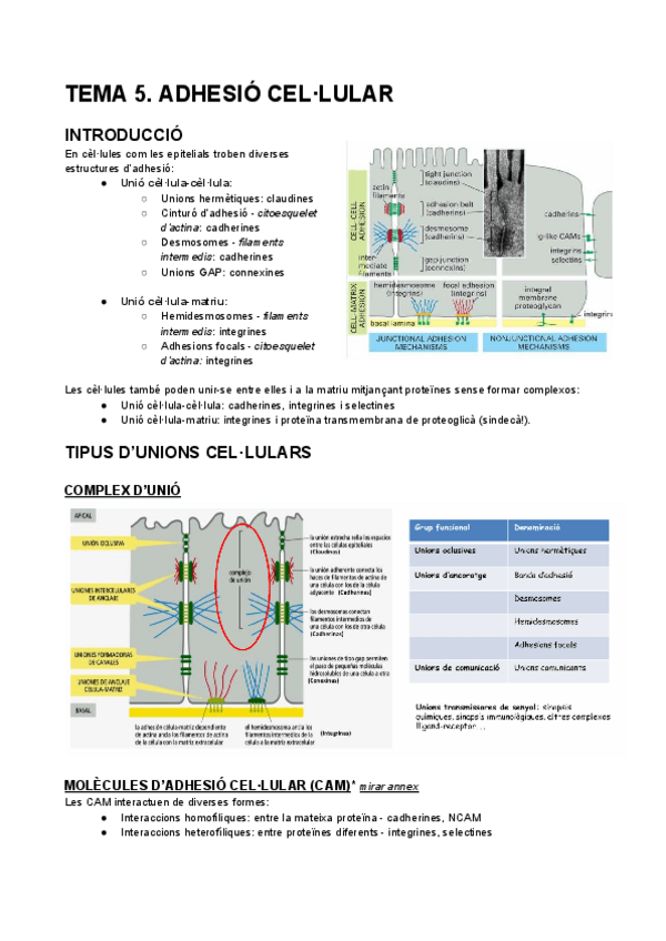 Miniatura del documento TEMA-5.-ADHESIO-CELLULAR.pdf