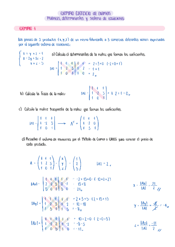 Miniatura del documento Ejemplo-de-ejercicio-de-examen.-Matrices-determinantes-y-sistema-de-ecuaciones.PDF.pdf