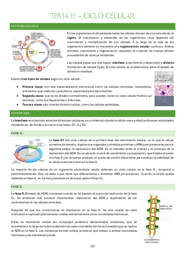 Miniatura del documento Tema-15-Bases-Organicas-e-Inorganicas-de-la-Vida.pdf