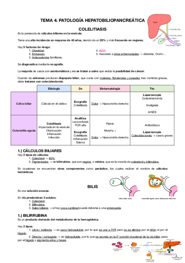 Miniatura del documento FISIOPATOLOGIA-DIGESTIVO-T.4.-Y-GLOSARIO.pdf