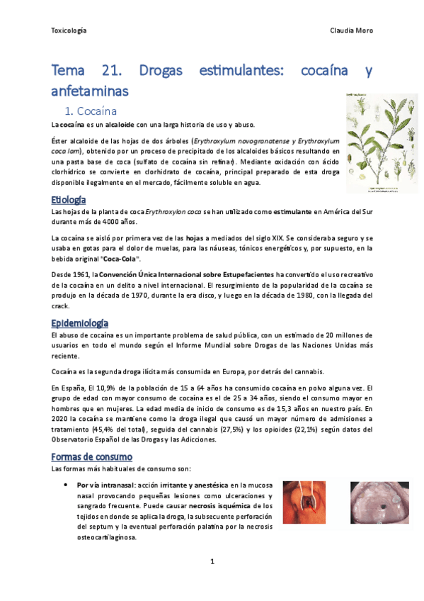 Miniatura del documento Tema-21.pdf