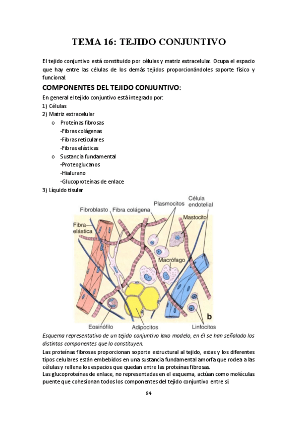 Miniatura del documento Biologia 2024/2025 Temas: 16-25.pdf