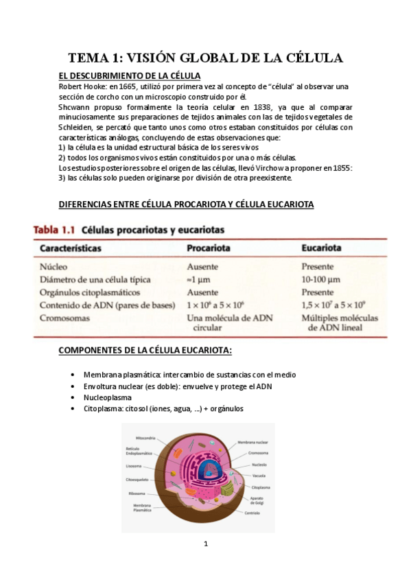 Miniatura del documento Biología 2024/2025 Temas: 1-15.pdf