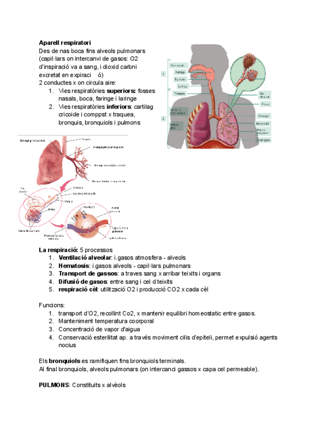 Miniatura del documento RA3-Estudi.pdf