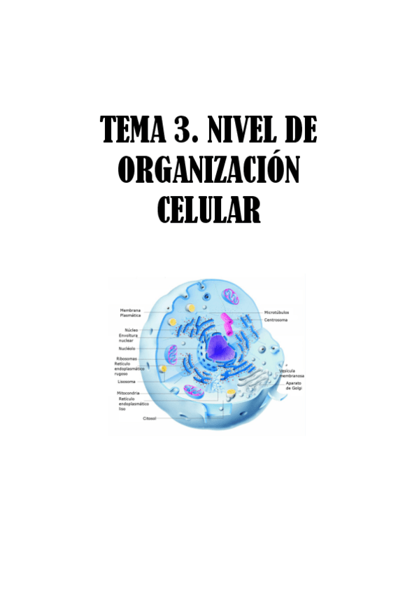 Miniatura del documento TEMA-3.-NIVEL-DE-ORGANIZACION-CELULAR.pdf