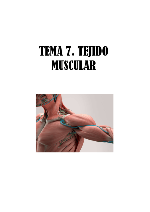 Miniatura del documento TEMA-7.-TEJIDO-MUSCULAR.pdf