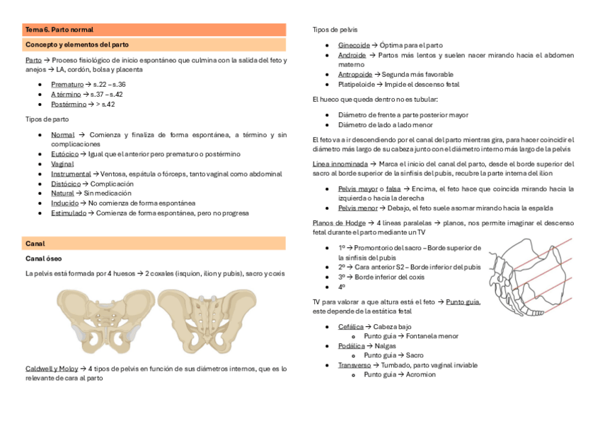 Miniatura del documento esqT6.pdf