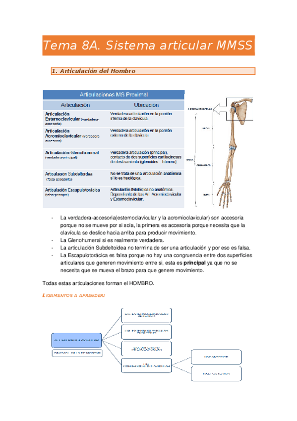 Miniatura del documento Tema-8A.Sist.Art-MMSS.docx
