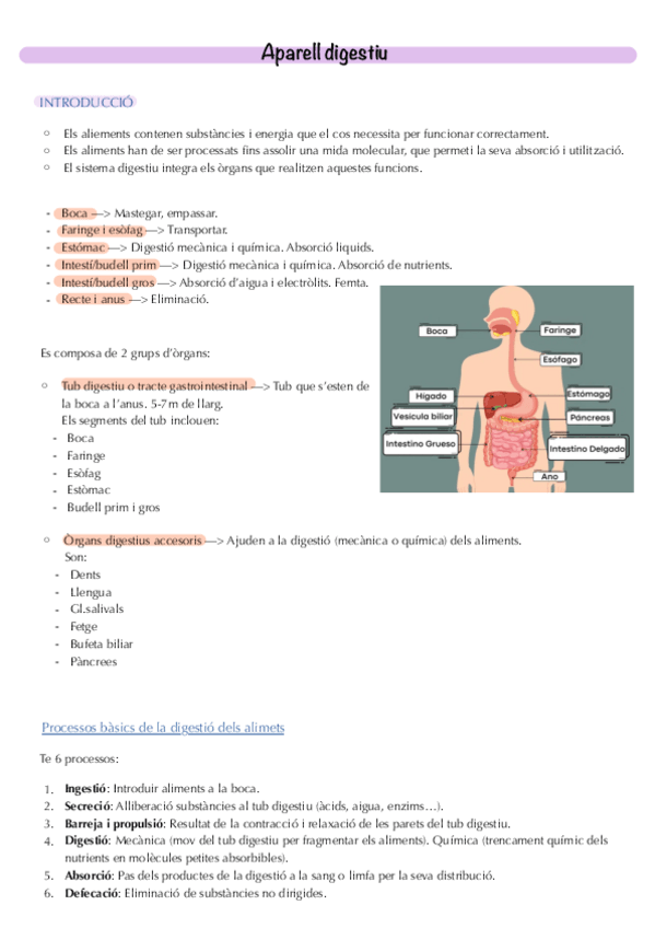 Miniatura del documento 3r-parcial-Bernat.pdf