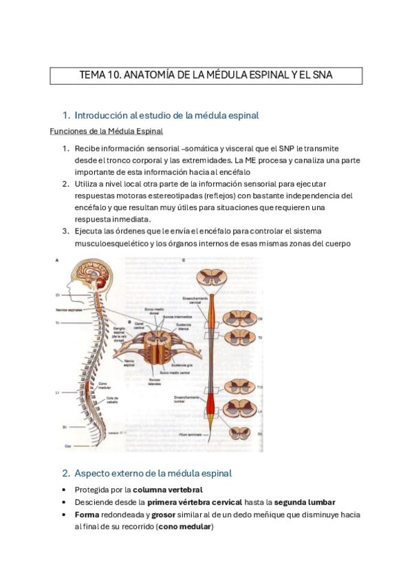 Miniatura del documento TEMA-10-B-1.pdf