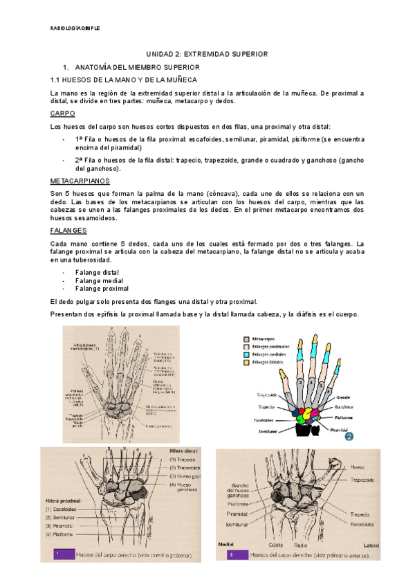 Miniatura del documento POSICIONES-MIEMBRO-SUPERIOR-PRIMERA-PARTE.pdf