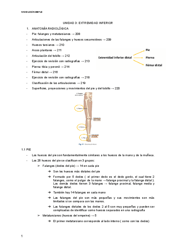 Miniatura del documento UNIDAD-3-EXTREMIDAD-INFERIOR.pdf