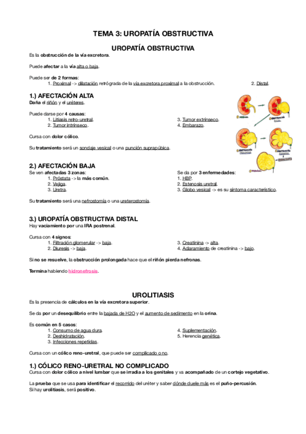 Miniatura del documento FISIOPATOLOGIA-URINARIO-T.3.-Y-GLOSARIO.pdf