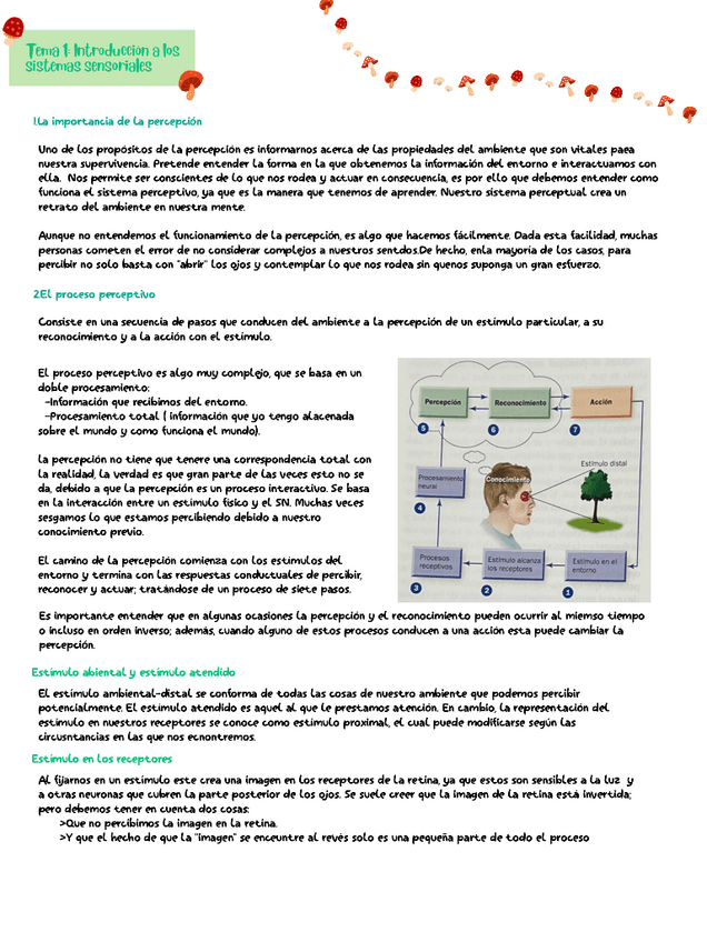 Miniatura del documento T1y2.pdf